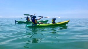 Trinity Beach Sunrise Kayak Tours