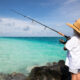 May Fishing Outlook: Ideal Weather & Prime Conditions in Cairns